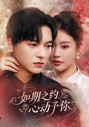 如期之约心动予你（82集）真的太精彩了