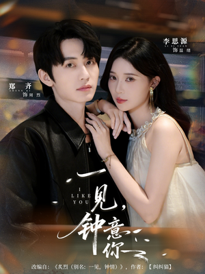 一见钟意你（80集）经典老剧免费看