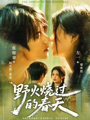 野火烧过的春天(85集) 野火烧过的春天(85集)全集下载