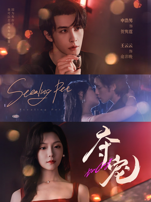 夺宠（88集）爆款短剧追不停