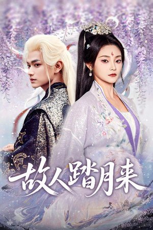 故人踏月来（60集）河马免费短剧