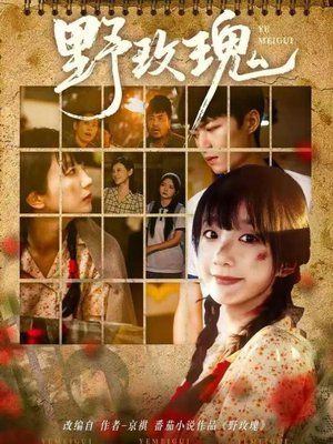 野玫瑰（82集）热门火爆短剧