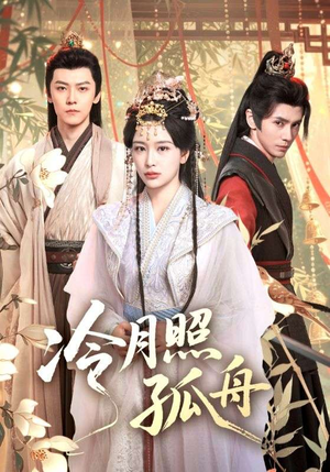 冷月照孤舟（77集）观看软件