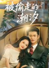 被偷走的潮汐（60集）免费短剧合集