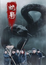 蛇影（25集）剧好看短剧推荐