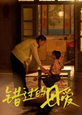 错过的母爱(32集) 错过的母爱(32集)河马免费短剧