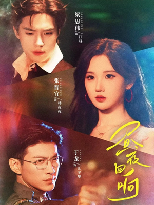 昼夜回响（76集）免费看短剧