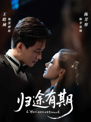 归途有期（60集）短剧解说热门