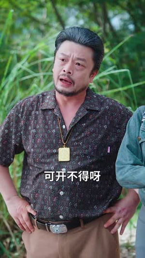 哀牢寻龙 (50集)最后的大结局