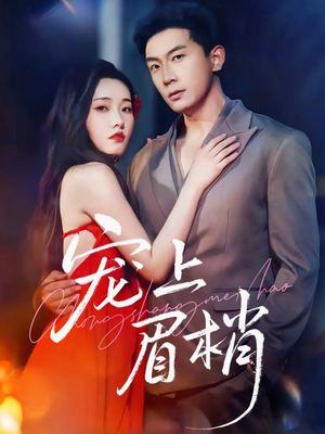 宠上眉梢（51集）好看到停不下来