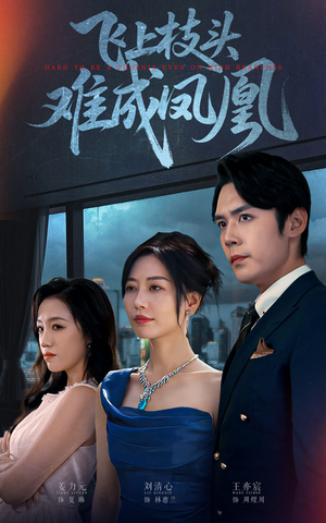 飞上枝头难成凤凰(47集) 飞上枝头难成凤凰(47集)真的好看吗