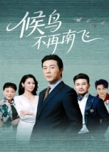 候鸟不再南飞（80集）火爆短剧抢先看