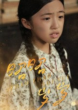 昭昭岁岁（30集）番茄免费短剧