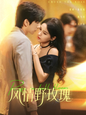揉碎玫瑰(70集) 揉碎玫瑰(70集)看到了大结局