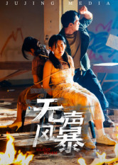 无声风暴(33集) 无声风暴(33集)短剧精彩绝伦