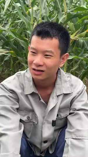 崖边的迎春花第一部(78集) 崖边的迎春花第一部(78集)番茄免费短剧