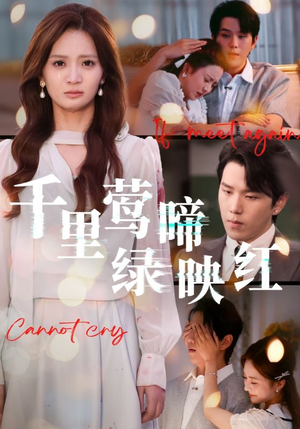 千里莺啼绿映红(63集) 千里莺啼绿映红(63集)免费短剧推荐