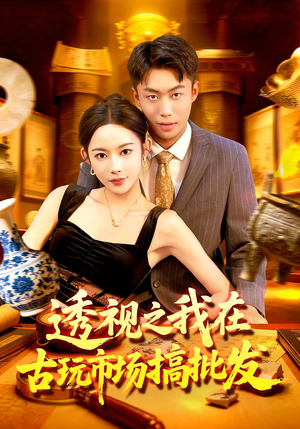 透视之我在古玩市场搞批发(130集) 透视之我在古玩市场搞批发(130集)免费观看全集