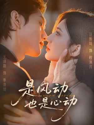 是风动也是心动（60集）免费看全集