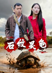 石纹灵龟（30集）全集