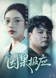 因果报应（30集）完整版免费观看