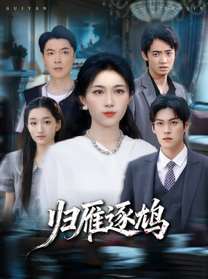 归雁逐鸠（60集）精彩短剧热播