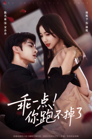 乖一点!你跑不掉了(80集) 乖一点!你跑不掉了(80集)UC网盘在线看