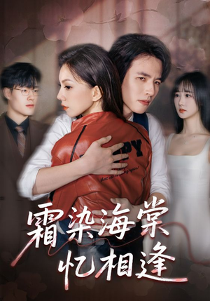 霜染海棠忆相逢（72集）在线观看全集