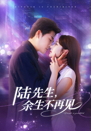 陆先生，余生不再见（88集）红果短剧看全集