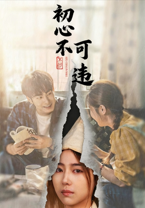 初心不可违（62集）短剧越看越精彩