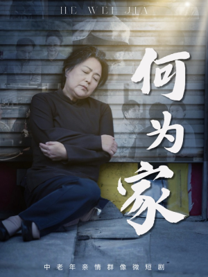 何为家（60集）精彩热门短剧