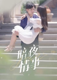 暗夜情事（100集）好看上头短剧