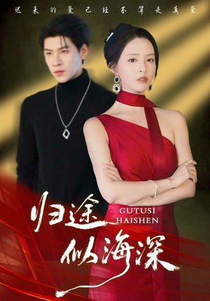 归途似海深(61集) 归途似海深(61集)在哪看