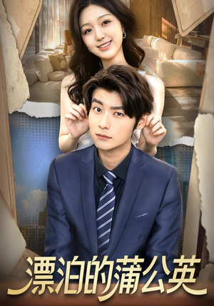 漂泊的蒲公英（60集）短剧太好看了