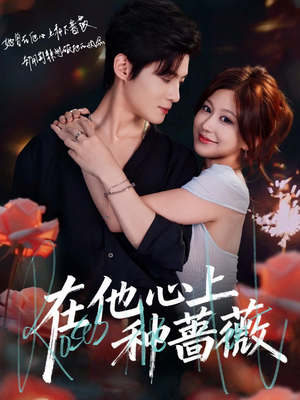 在他心上种蔷薇（81集）红果短剧看全集