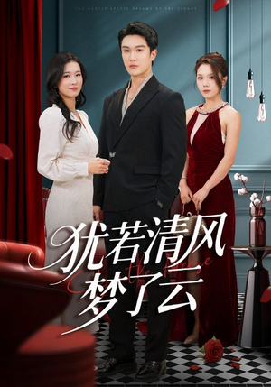 犹若清风梦了云（66集）全集