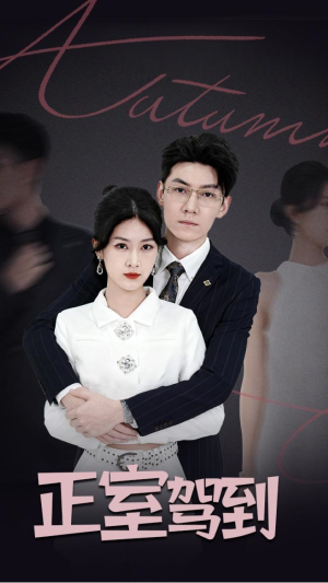 正室驾到（35集）精彩好看的短剧