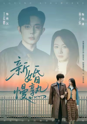 新婚慢熟（105集）最新热播短剧