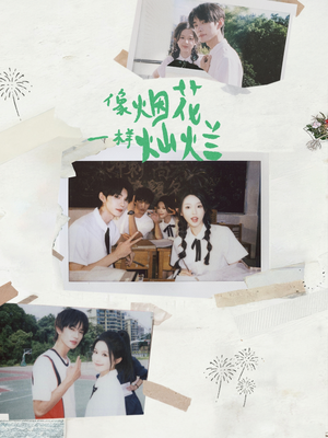 像烟花一样灿烂(60集) 像烟花一样灿烂(60集)短剧演员排行榜