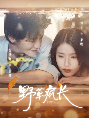 野草疯长（71集）独家短剧免费看