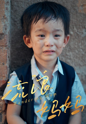 流浪妈妈(30集) 流浪妈妈(30集)大结局一气呵成