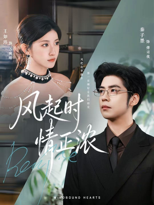 风起时情正浓(79集) 风起时情正浓(79集)热播短剧全集看