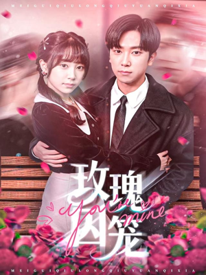 玫瑰囚笼(81集) 玫瑰囚笼(81集)评价怎么样