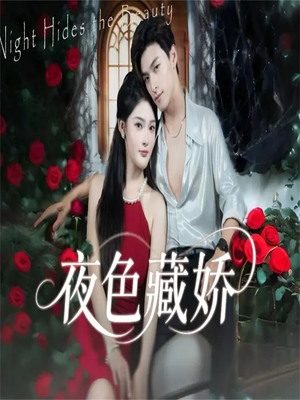 夜色藏娇（65集）360网盘观看