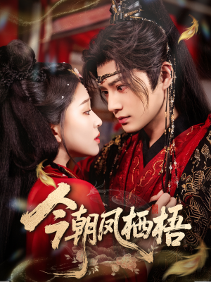 今朝凤栖梧（68集）小短剧抢先看