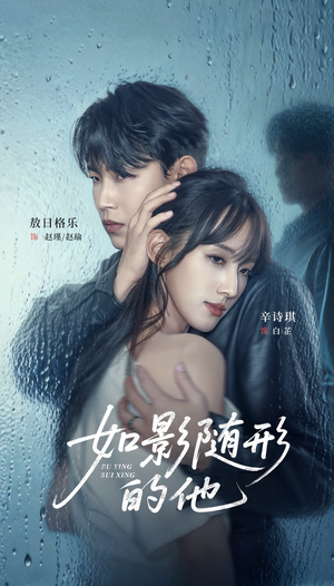 如影随形的他（30集）追短剧太上头了