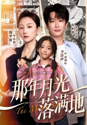 那年月光落满地（60集）热播短剧排行榜