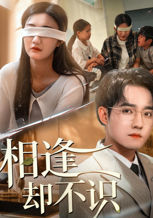 相逢却不识(77集) 相逢却不识(77集)演的怎么样