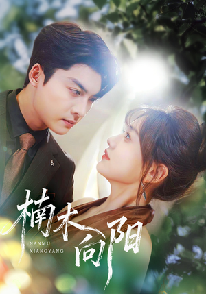 楠木向阳（70集）在线免费观看