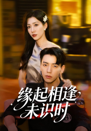缘起相逢未识时(57集) 缘起相逢未识时(57集)免费看全集